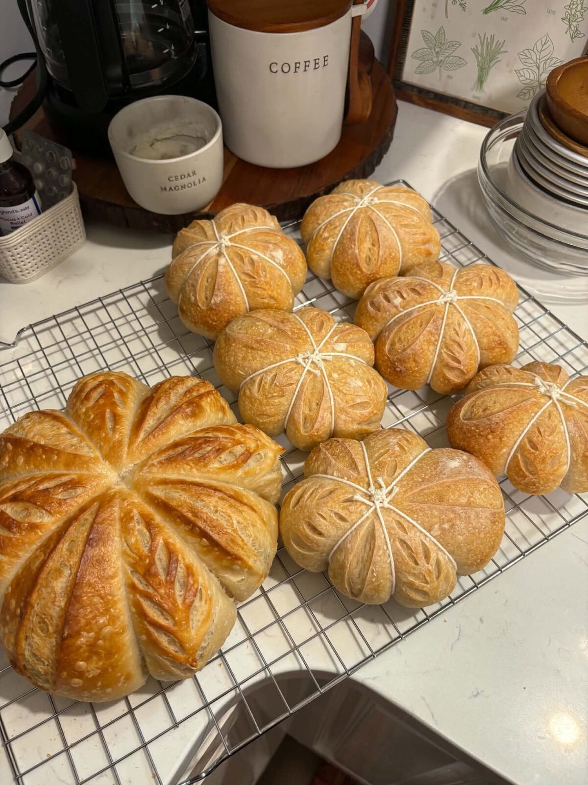 Hands kneading dough